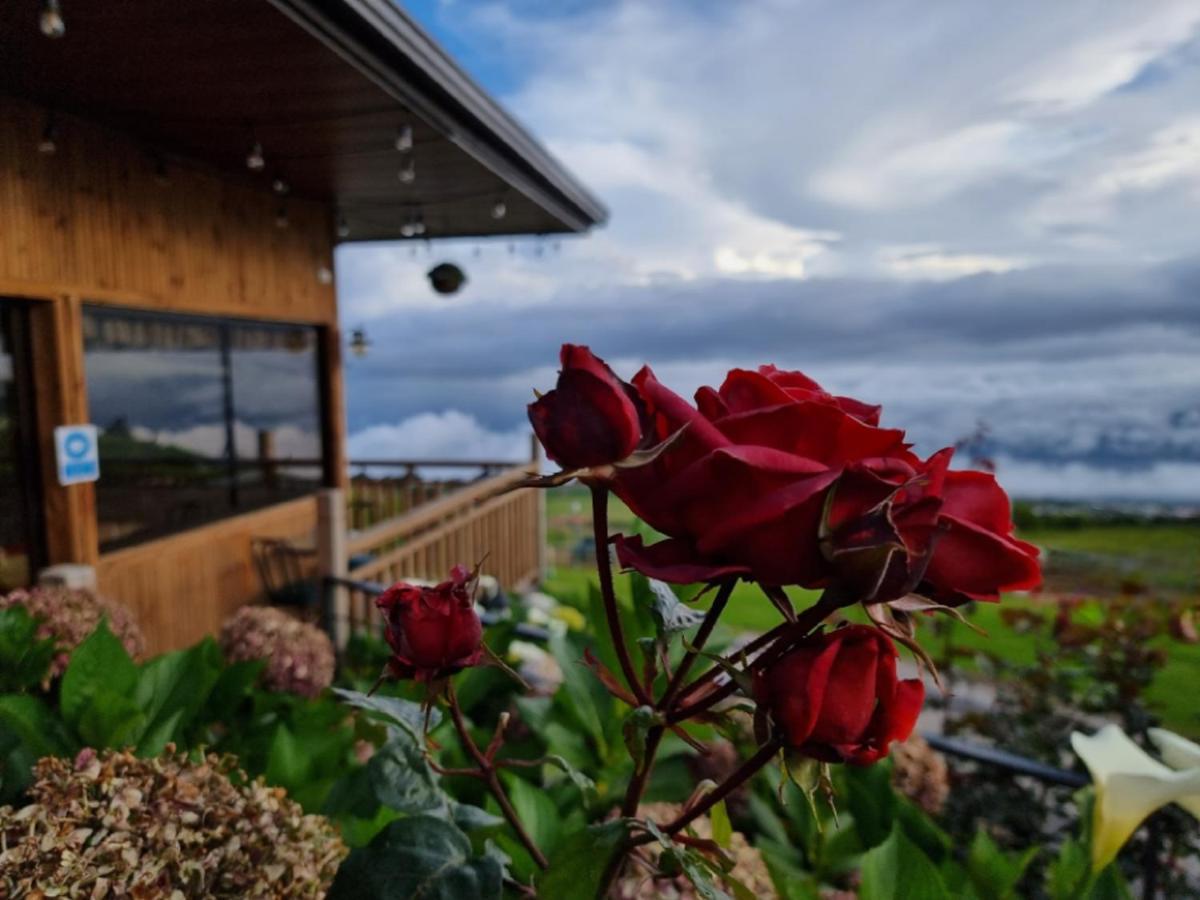 Hotel Cabanas Y Mirador Secret Garden Cr 迦太基 外观 照片
