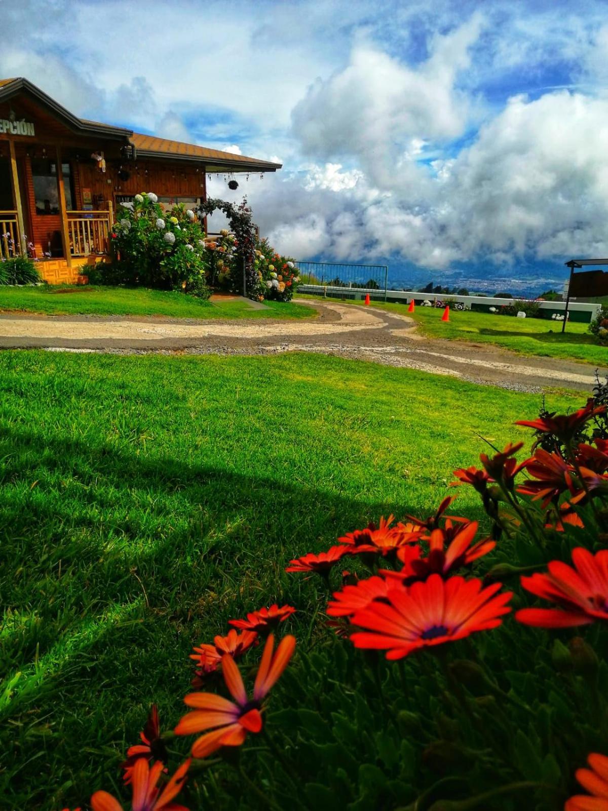 Hotel Cabanas Y Mirador Secret Garden Cr 迦太基 外观 照片